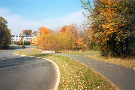 Turn right onto the pathway prior to the creek and follow the creek.