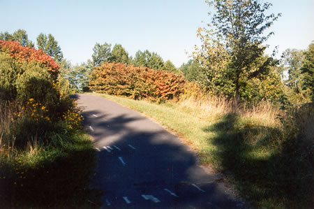 Turn left onto the connecting ramp after going under Wiehle Ave.