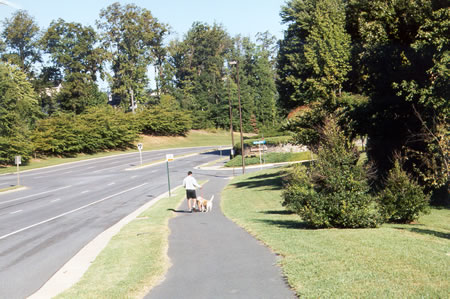 Follow the trail along Wiehle Ave. until the next intersection.