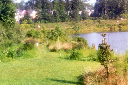 This natural path to the left as you approach Bright Pond will take you around the pond.