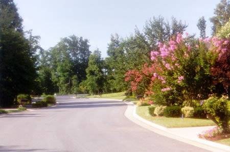 The colorful display on the right may be found in August.