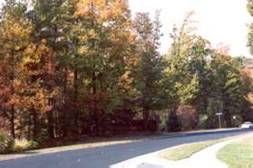 Turn right to follow the sidewalk along the east side of North Village Rd.