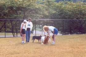 Here a small group of people and their dogs socialize.