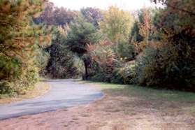 Turn right onto the wide asphalt trail prior to Wiehle Av.