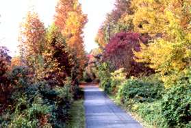 The trail leaves the athletic field portion of the park.