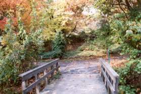 The trail turns right to cross a small bridge.  Turn left after the bridge.