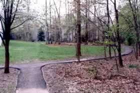 After crossing the stream turn right at the next intersecting trail.