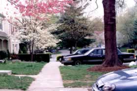 Turn right and follow the sidewalk on the other side of the street with the houses on the left as you walk.