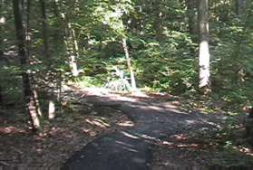 Turn left at the trail intersection at the bottom of the hill. The trail to the right is a dead end.