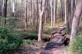 Turn right and cross another bridge and follow the trail up the hill.