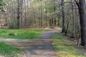 The asphalt path turns to the left. Continue straight on the gravel path.