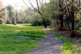 A path intersects to the left. Continue straight on the gravel path.