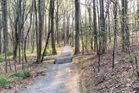 Continue straight at the intersecting asphalt trail. The trail is paved for a short distance from this point.