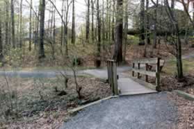 A trail intersects from the right after crossing a bridge. Continue along the present path as it follows the shore line.