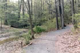 The trail turns left to cross a bridge over an inlet to the lake.