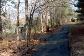 Turn left at the first trail intersection.