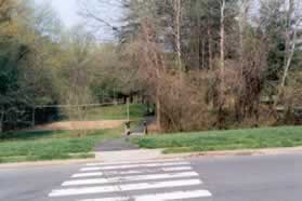 The trail crosses Oak Leather Dr. Continue straight on the other side.