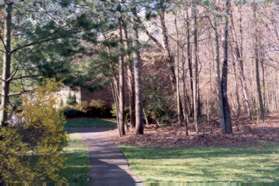 At the end of the straight section of concrete sidewalk take the asphalt path in the same direction.