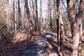 Turn right onto the intersecting path going away from the houses.