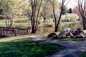 Turn left at the next trail intersection and follow the trail with the pond on your right.