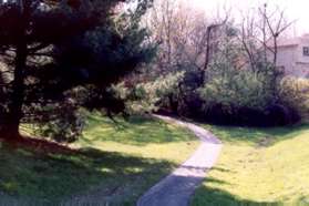 The trail continues along the stream away from the pond.