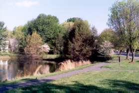 Turn right to walk around the pond with the pond on your left.