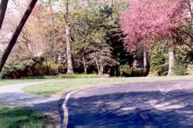 Turn left to follow the gravel path as the driveway turns to the right.