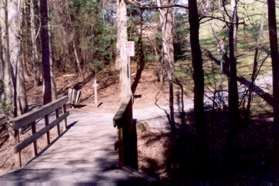 A trail appears to the right leading to Terra Centre School. Continue to the left past this first trail.