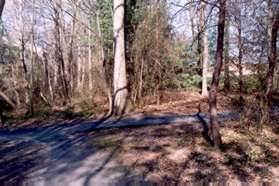 Take the second trail to the right towards the school.