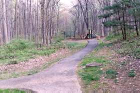 Follow the path along the stream not turning at the many intersecting pathways.