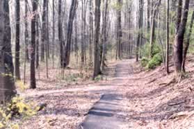 After the trail makes a horseshoe curve turn left at the intersecting trail.