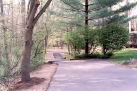 Continue on the asphalt path at the end of the street.