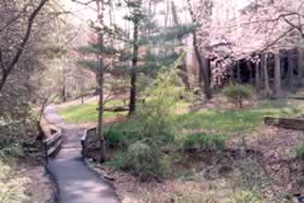 Turn left at the intersecting trail.