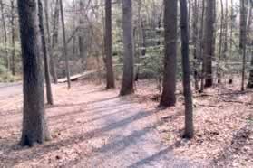 Turn left onto the gravel trail just past the basketball court.