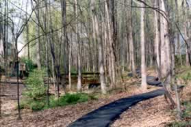 A path crosses a bridge on the left. Continue on the current path.