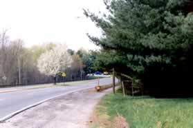 Turn right onto the trail along Burke Centre Pwy upon reaching that road.