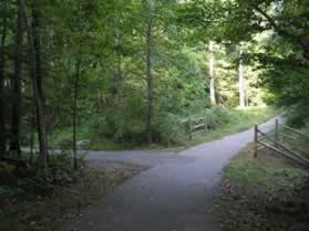 An asphalt trail intersects from the left.  Continue straight on the present asphalt trail.