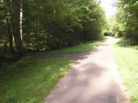 An asphalt trail intersects from the left.  Continue straight on the present asphalt trail.