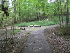 The asphalt trail intersects with a dirt trail and turns right to climb a hill.  Turn left to follow the dirt trail.