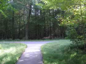 Turn right onto the next intersecting asphalt trail.