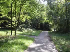 An asphalt trail intersects from the left.  Continue straight on the present trail.