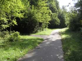 An asphalt trail intersects from the left.  Continue straight on the present trail.