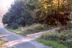 Turn right at the next wide trail intersection.