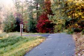 Turn left at the next wide trail intersection.