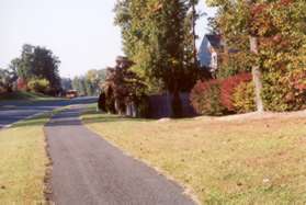 Turn right to follow the asphalt trail south along Reston Pkwy.