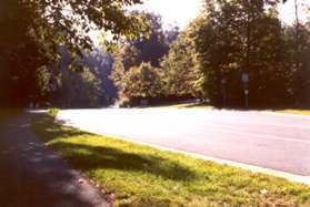 The path follows the north side of Lake Newport Rd after turning left across Reston Parkway.