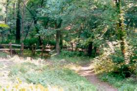 The trail heads down a hill.  There should be houses on your left.