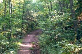 After crossing a fill over a gulley the trail heads back up hill.