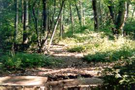 The path crosses a culvert.   This simply serves as a landmark to confirm you are on the right path.