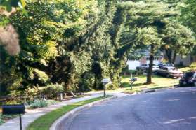 Turn left on the first asphalt path on the left where the road curves to the right.  It is just prior to the white mailbox in the photo.